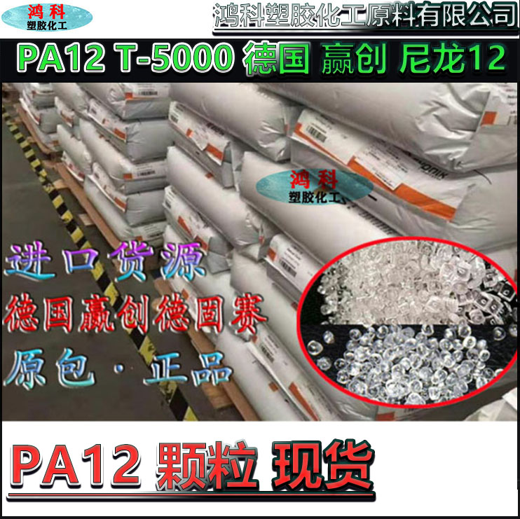 PA12 T-5000德国进口赢创德固赛尼龙12聚十二内酰胺颗粒原料