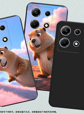 适用传音InfinixNote30手机壳全包土拨鼠InfinixNote30i磨砂壳InfinixNote30Pro高级X6833B商务保护套