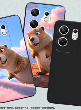 适用传音InfinixZero30手机壳土拨鼠ZeroUltra高级感磨砂壳潮流InfinixZero40全包边X6820中国风保护套