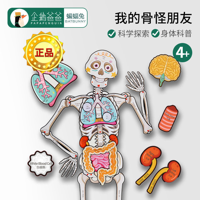 企鹅爸爸蝙蝠兔我的骨怪朋友拼图人体骨架五脏模型器官身体脏器
