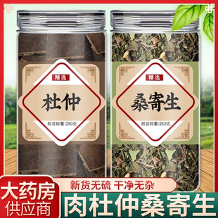 桑寄生杜仲中药材组合茶包桑奇生和杜仲茶加独活泡茶泡水喝腰痛