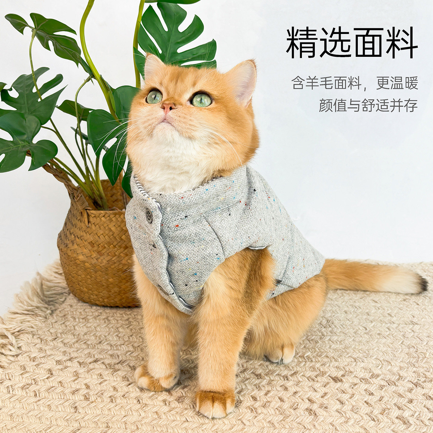 防掉毛立领棉马甲猫咪小狗宠物保暖棉衣金渐层布偶蓝猫矮脚猫衣服,宠物/宠物食品及用品,狗宠物服装/雨衣,淘宝优惠券,粉丝福利购,淘宝优惠卷