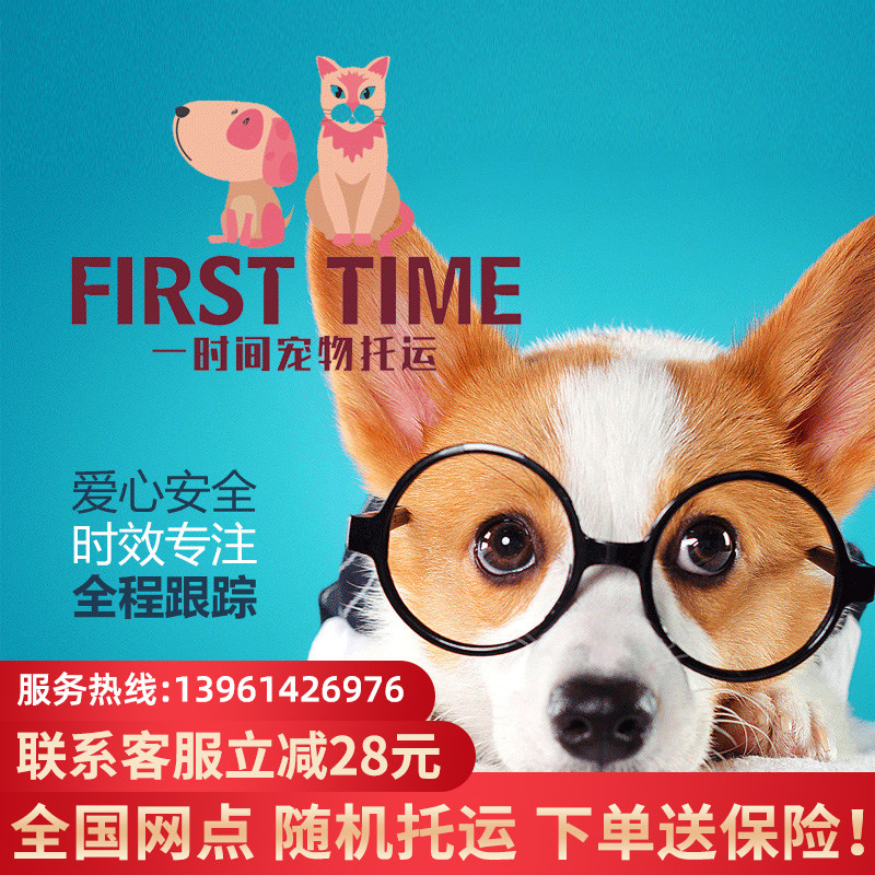 宠物托运服务猫狗邮寄全国北京上海广州深圳南京成都空运铁运汽运