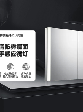 科勒新维乐2.0镜柜卫生间浴室镜置物柜收纳一体挂墙式镜箱30546T