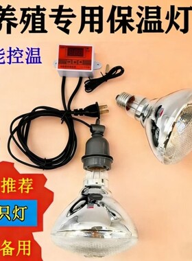 小鸡育雏鸭苗灯温控保温养殖温器专用鹅苗脱灯鸡苗保温智能