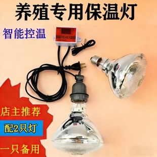 小鸡育雏鸭苗灯温控保温养殖温器专用鹅苗脱灯鸡苗保温智能