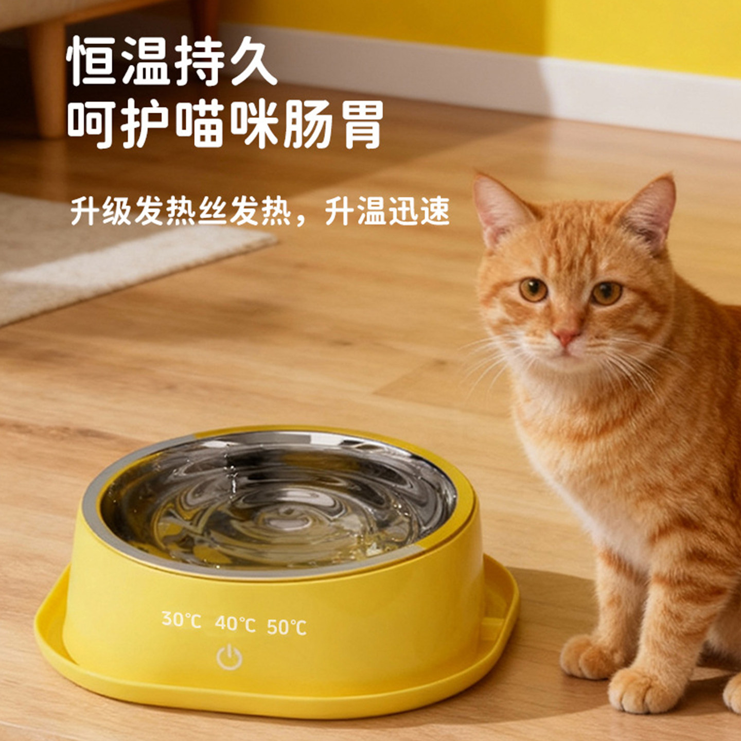 猫咪恒温加热饮水机宠物小猫喝水