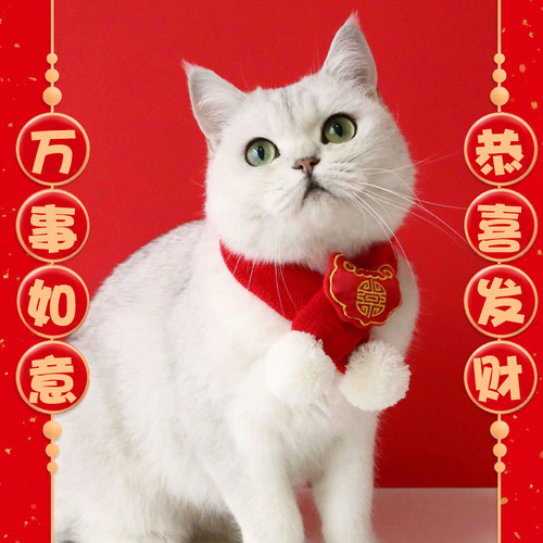 猫咪过年围巾狗狗围围巾