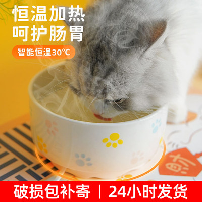 猫咪陶瓷加热碗饮水机恒温冬天水