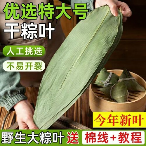 粽子叶大号干粽叶烘干蒸笼包子垫