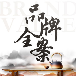 品牌策划全案企业简介介绍故事文化招商宣传入驻ppt制作活动文案