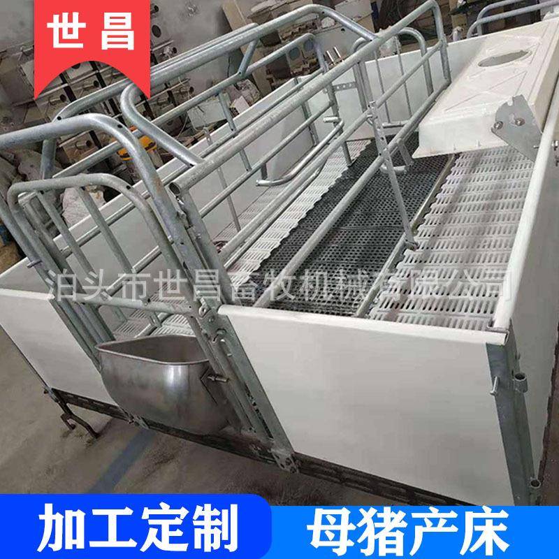 母猪产床双体分娩床猪笼养猪设备产床厂家现货