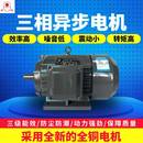 3W机械设备配套 4极2.2 厂家大马力三相异步电机足功率YE2 100L