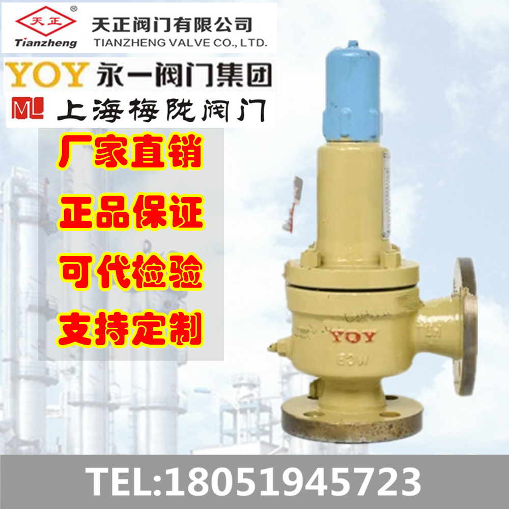 弹簧全启式安全阀可代检