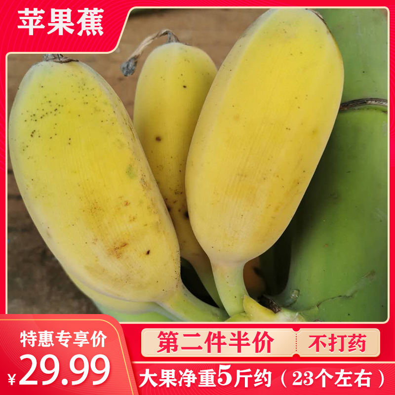 广东香蕉新鲜当季水果应季苹果粉蕉5斤整箱包邮自然熟banana