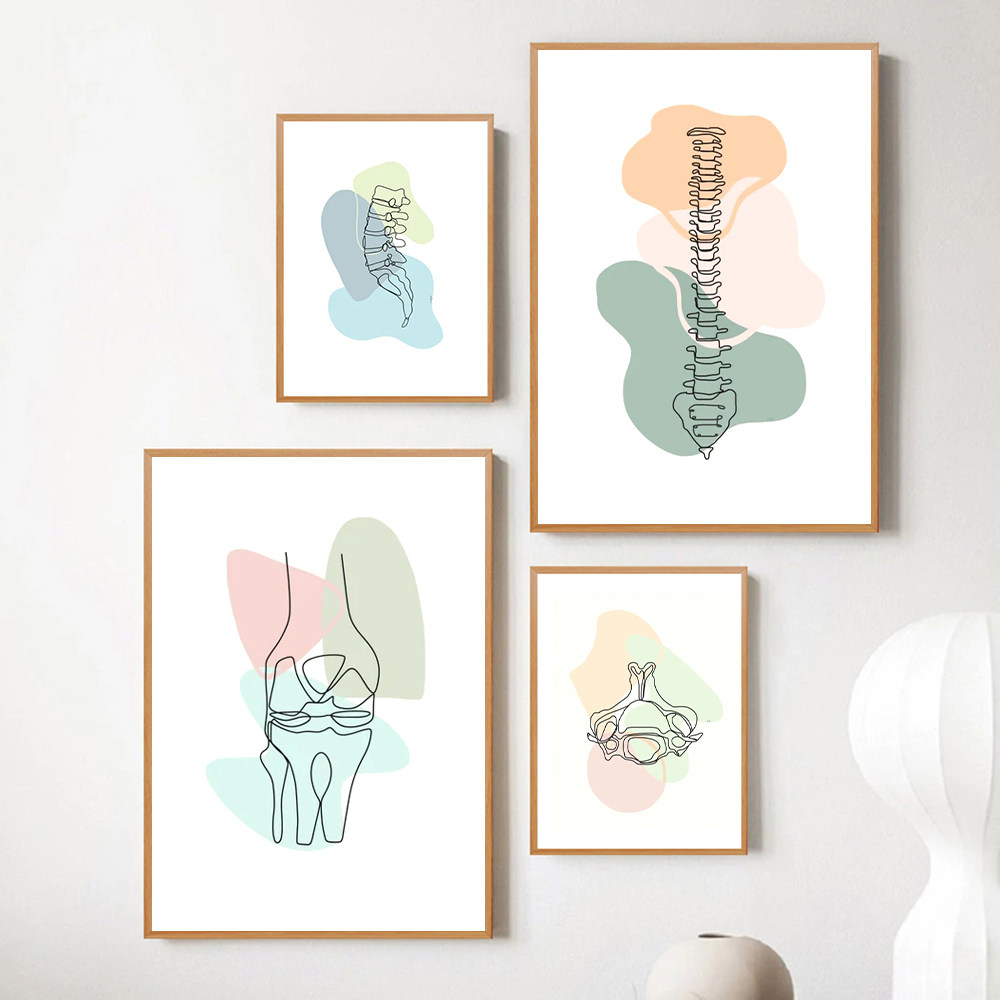 人体骨骼医学解剖图装饰画脊柱颈椎结构图骨科挂画医生诊所墙壁画