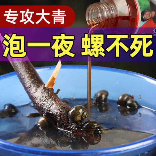 泡螺不死活力足螺香暴增促开口