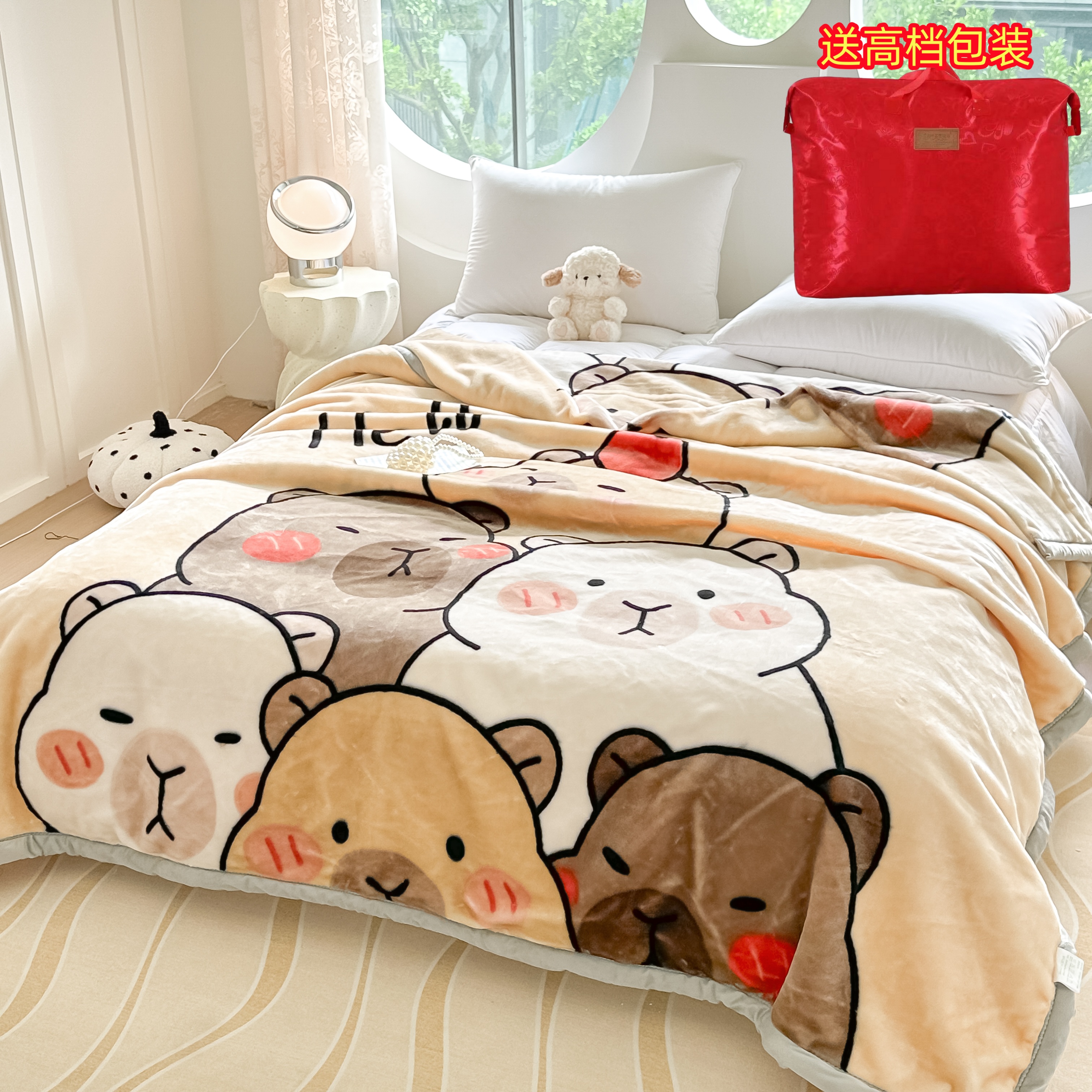 拉舍尔毛毯被子加厚冬季双层珊瑚绒学生宿舍单双人保暖午睡小毯子