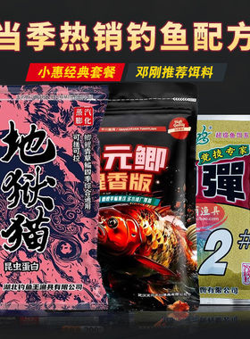 武汉天元邓刚同款腥香版鲤鲫鱼饵料冬季野钓钢弹2号地狱猫搭配