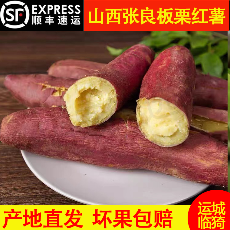 山西临猗板栗红薯当季无丝红薯农家一枝香红薯粗粮红薯10斤包邮
