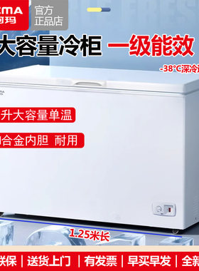 澳柯玛401升冰柜一级能效