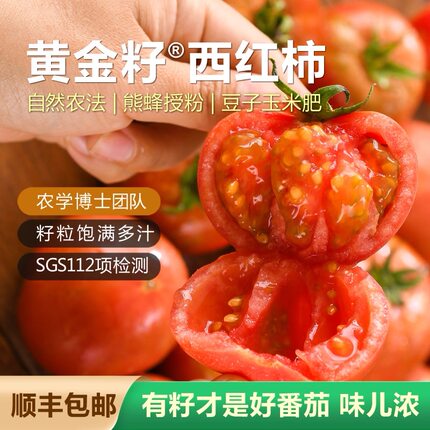 新鲜自然熟黄金籽西红柿5斤农家蔬菜水果绿色食品番茄顺丰包邮