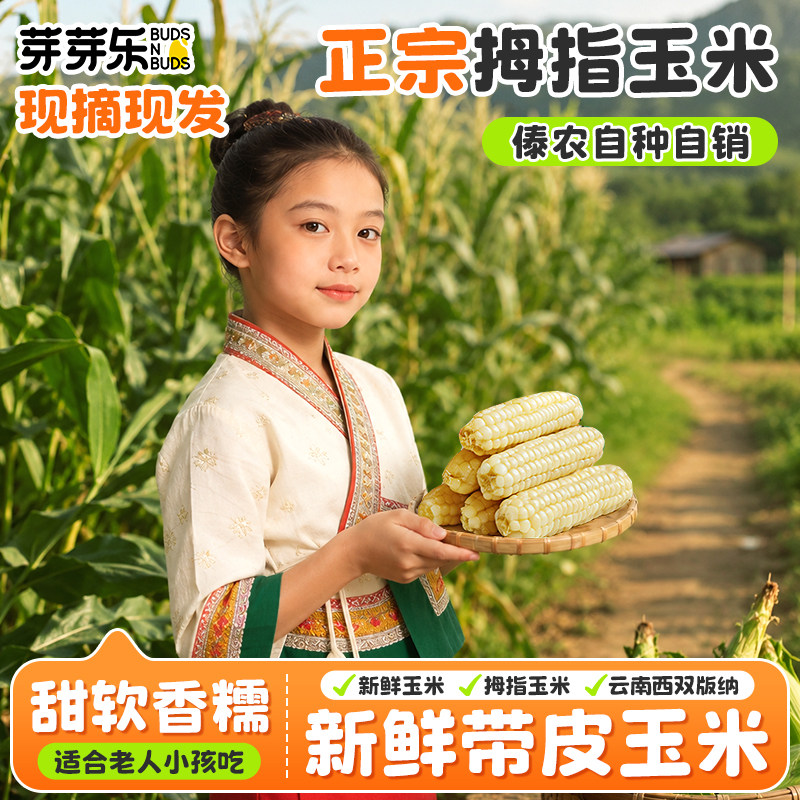 芽芽乐云南西双版纳拇指玉米甜糯新鲜带皮手指玉米送婴儿宝宝食谱