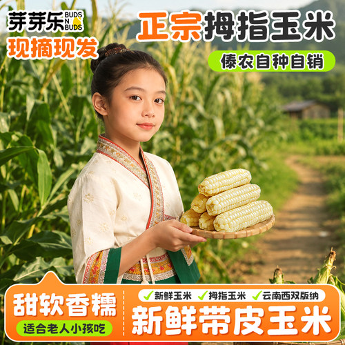 芽芽乐西双版纳拇指手指玉米婴儿