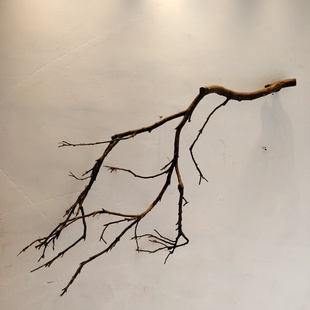 吊灯干枝餐厅干树枝装饰树干枯枝民宿天花板挂灯插花挂件舞台摆件