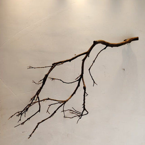 吊灯干枝分枝干树枝装饰