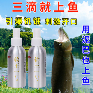 钓王一号喷雾钓鱼小药诱鱼剂添加剂鲫鲤草鱼黑坑竞技鱼饵打窝鱼药