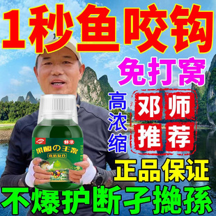 正宗野钓高浓度强效钓鱼小药鱼饵鲫鲤草青鱼饵窝料果酸诱鱼添加剂