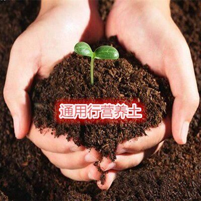 花卉通用有机营养土玫瑰月季蔷薇茶花兰花君子兰多肉绿植种植