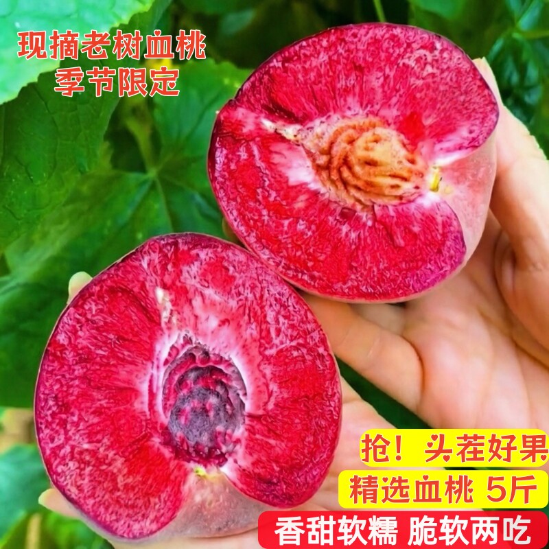 2026年血桃现货5斤狗布袋现摘发当应季胭脂红毛桃儿孕妇饱腹整箱