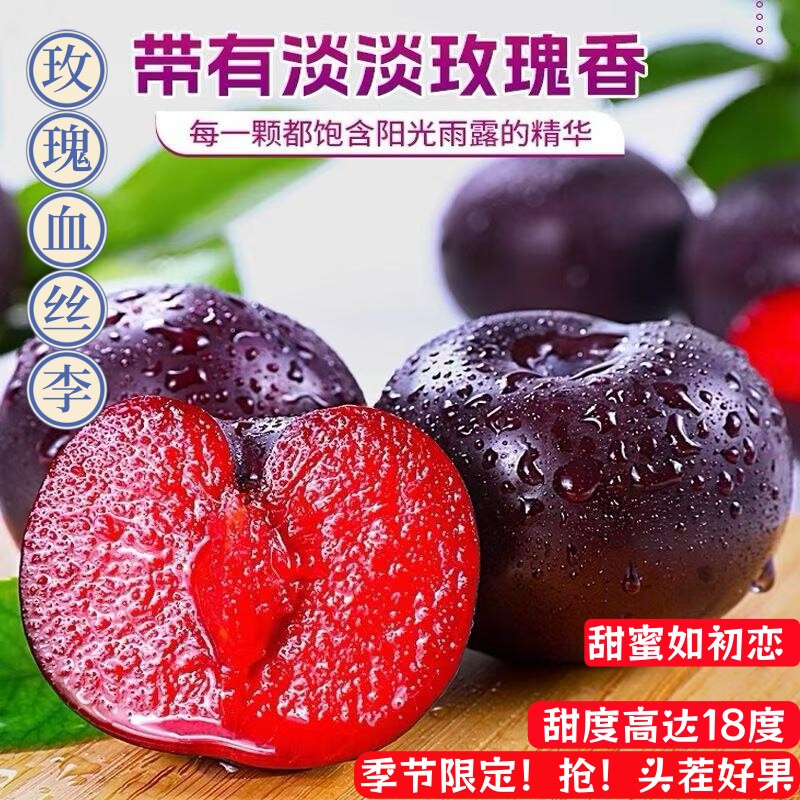 玫瑰血丝李应季风味红心李子时令水果黑布林红肉恐龙蛋新鲜现摘发