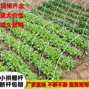 小拱棚支架玻璃纤维杆大棚骨架配件新型搭棚架子种菜棚架拱杆子