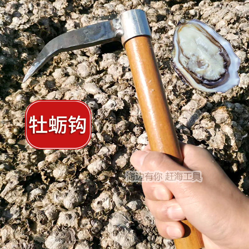 赶海海蛎子工具挖海蛎子钩神器打撬刨敲抠生蚝开壳刀牡蛎扒肉老式