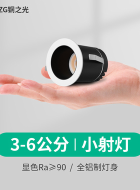射灯嵌入式小开孔5cm迷你小射灯满天星小孔径4公分酒柜led展柜灯