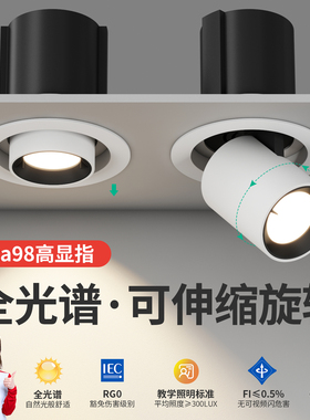 拉伸式射灯嵌入式伸缩可调节角度客厅家用象鼻灯玄关聚光灯开孔75