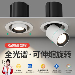 拉伸式射灯嵌入式伸缩可调节角度客厅家用象鼻灯玄关聚光灯开孔75