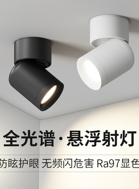 可调节明装射灯LED天花灯客厅背景墙无主灯玄关天花板灯cob小吸顶