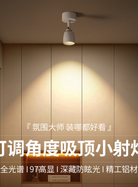 明装射灯可调节角度玄关装饰壁画 画聚光灯吸顶式迷你小射灯背景