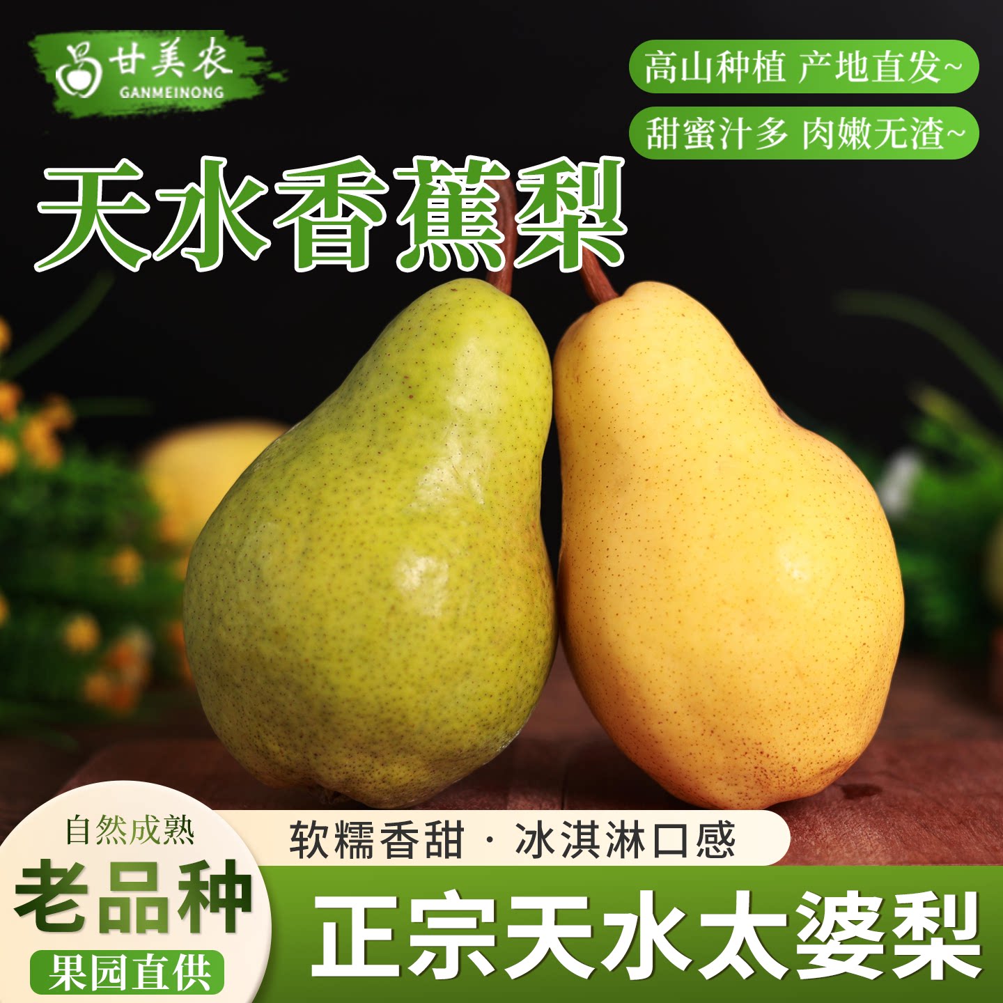甘肃香蕉梨现摘太婆梨新鲜水果大头梨茄梨软梨整箱啤梨