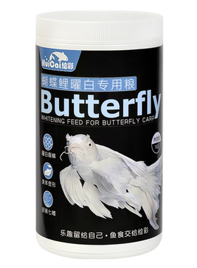 绘彩蝴蝶鲤曜白美体舒展七鳍