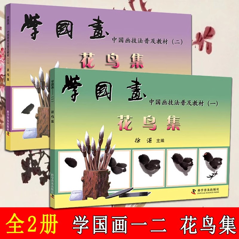 全2册 学国画徐湛国画教材单本全套花鸟集一二国画技法入门到精通基础教程书 书籍小写意花鸟画基础教材教程临摹书范本 科学普及