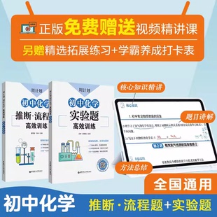 周计划：初中化学高效训练（推断·流程题 实验题）789年级初中初一初二初三中考化学 初中化学必备书籍