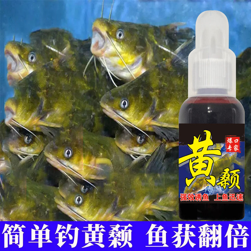 黄颡鱼钓鱼昂刺鱼饵料黄辣丁黄骨鱼窝料添加诱食剂黄桑鱼鱼饵
