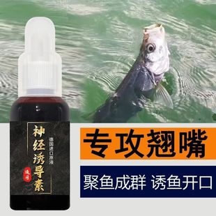 翘嘴鱼野钓湖水库路亚钓翘嘴马口鱼大翘手竿窝料白条鱼钓鱼饵料