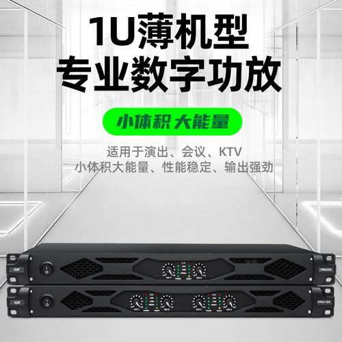 ISR纯后级数字功放2声道220V
