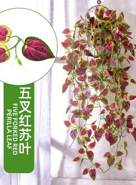 仿真绿萝壁挂假花藤条藤蔓绿植墙壁客厅室内绿色植物叶子装饰吊兰